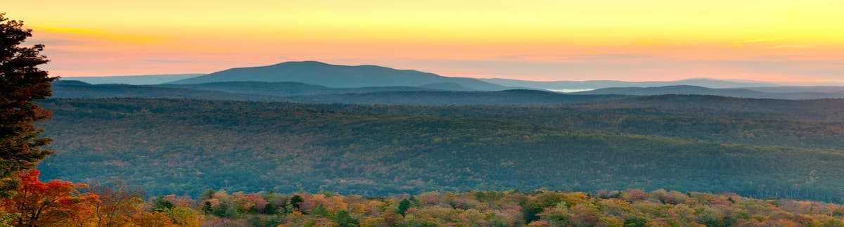 Handmade Custom Guitars from Froggy Bottom - Featured Image