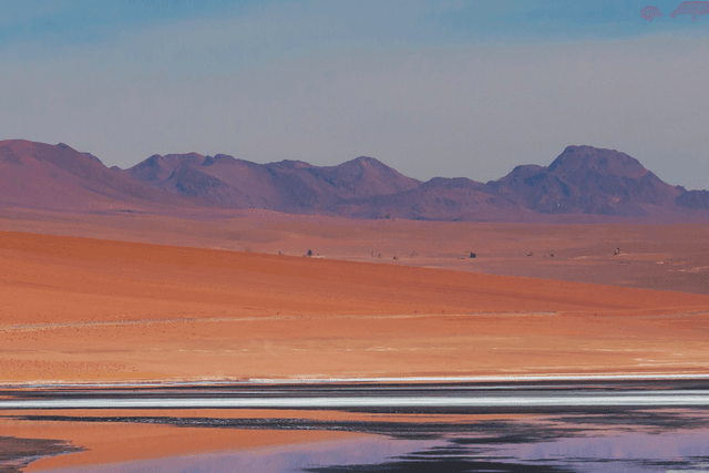The desert that fed the world - Geographical - Featured Image