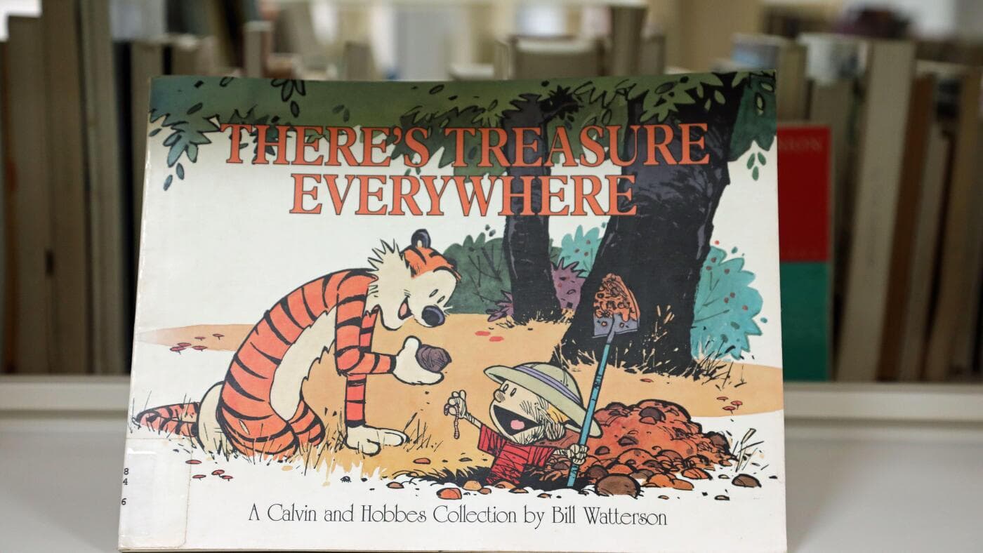 40 years ago, Calvin and Hobbes' raucous adventures burst onto the comics page - Featured Image