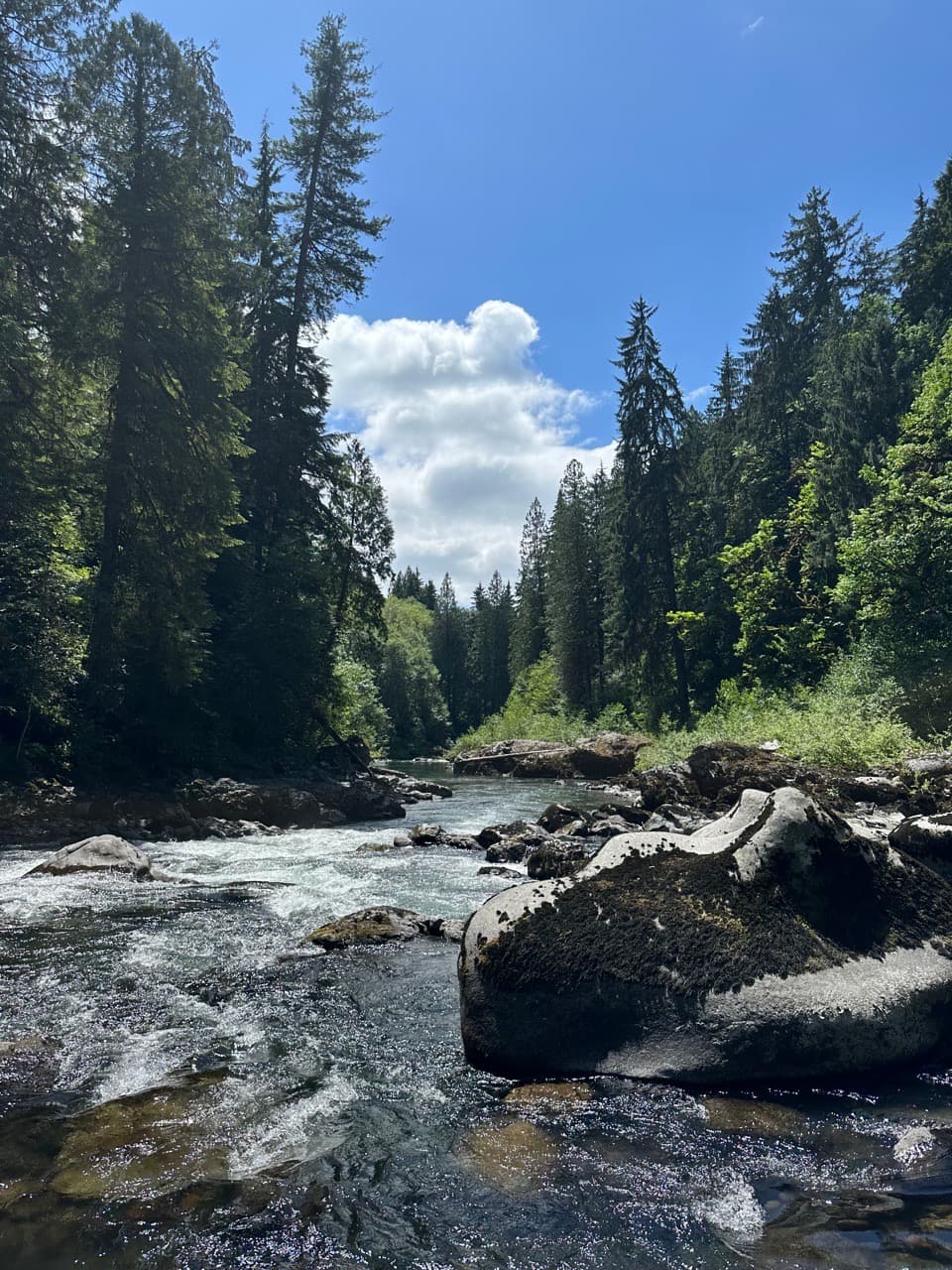 South Fork Stillaguamish River (Snohomish County, WA) - Image