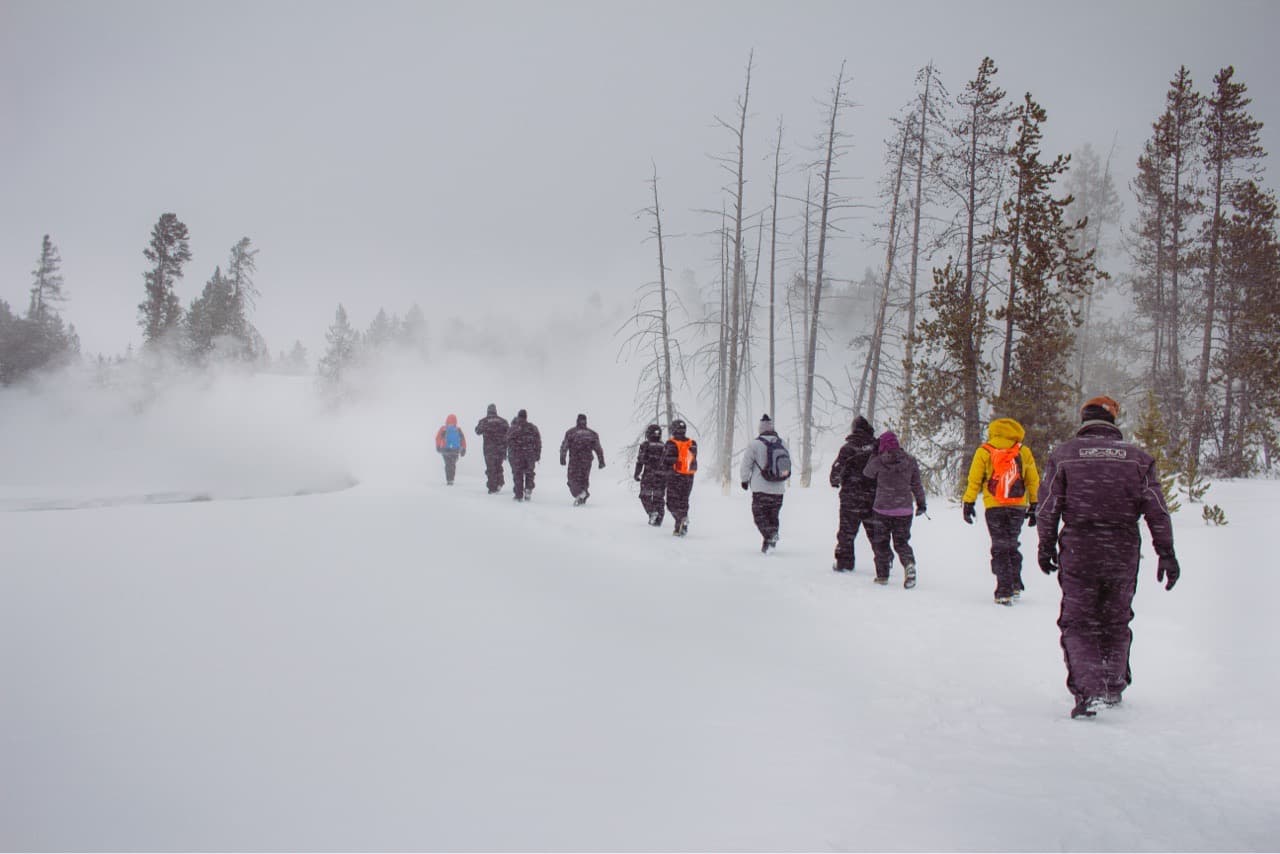 Into The Mist - Image