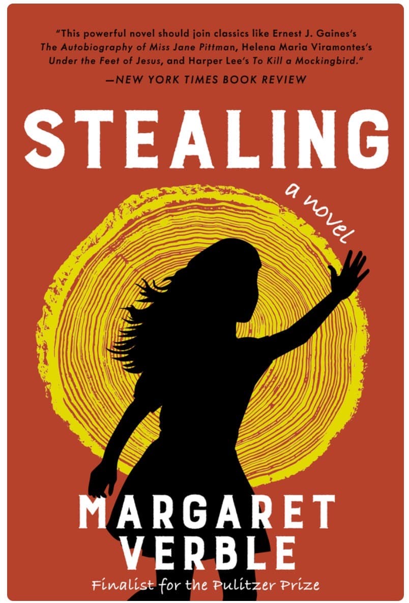 Bk Rvw: Stealing by Margaret Verbel - Image