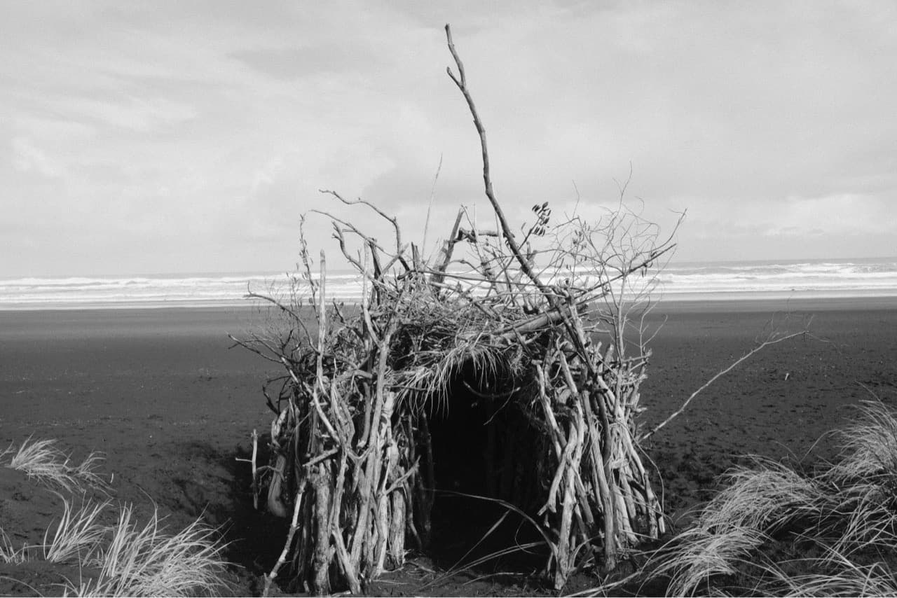 A place to hide from the rain - Image