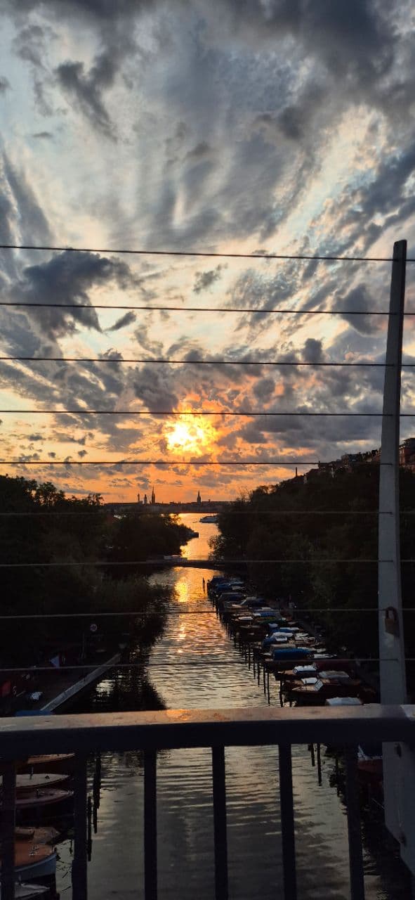 Took this one on the morning run. - Image