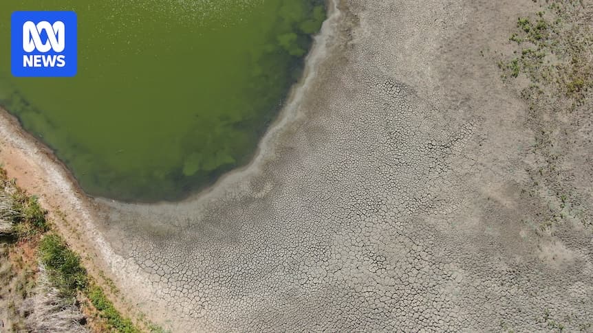 Outback NSW lake home to hundreds of turtles set to run dry in 130-year first - ABC News - Featured Image