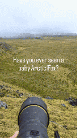 - Find & Share on GIPHY - Featured Image