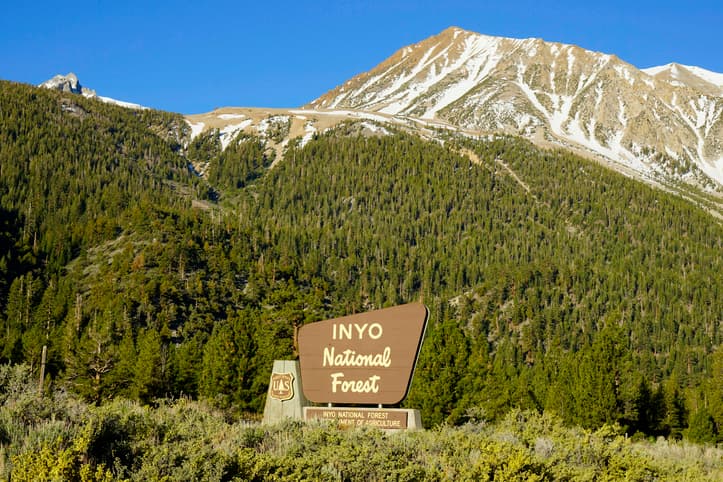 Forest Service Rescue of Wild Horses in California - Equus Magazine - Featured Image