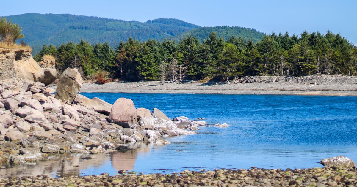 Skeletal remains that washed up on Washington beach identified as Oregon mayor who vanished 20 years ago - Featured Image