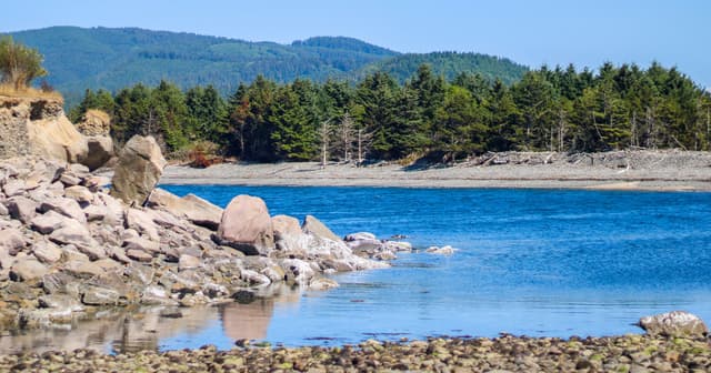 Skeletal remains that washed up on Washington beach identified as Oregon mayor who vanished 20 years ago - Featured Image