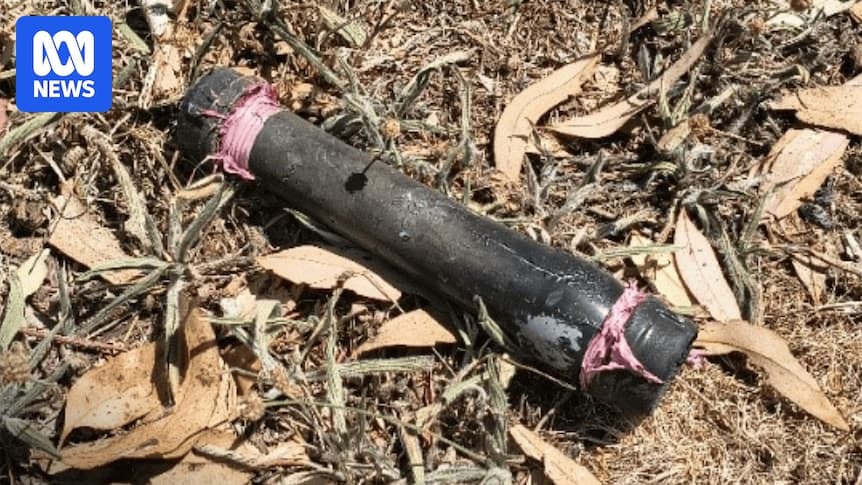 Four more pipe bombs found in north-west Canberra as police investigation continues - ABC News - Featured Image