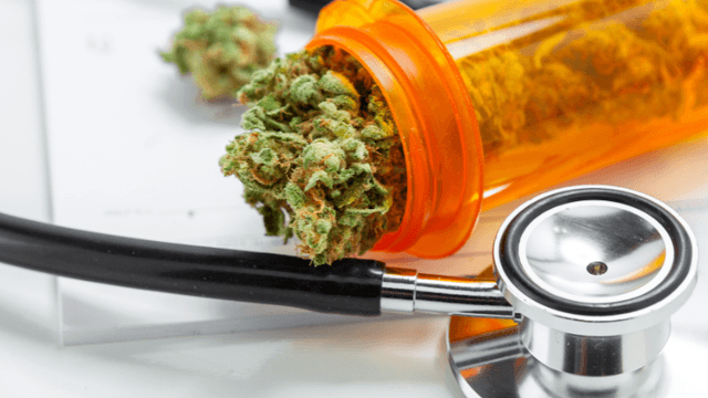 Doctors "Not Comfortable" Counseling About Medical Cannabis - Featured Image