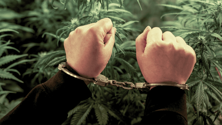 Multiple States Facing Marijuana Legalization Repeal Threats - Featured Image