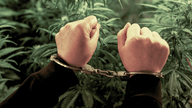Multiple States Facing Marijuana Legalization Repeal Threats - Featured Image