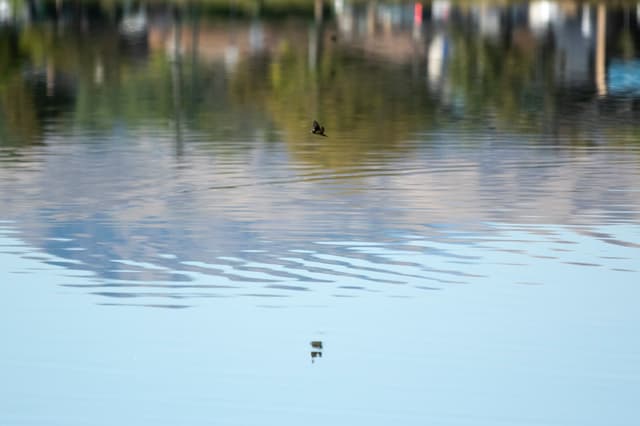 Sloan’s Lake is hot and shallow. Can $5 million save it? - Featured Image