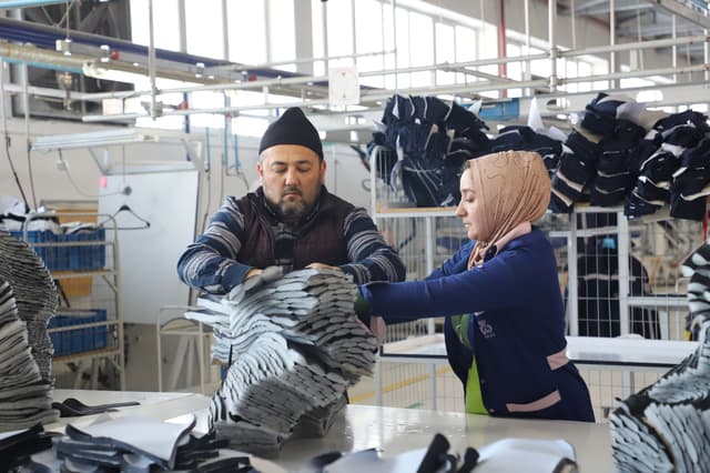 Global job quality stagnates despite resilient growth | International Labour Organization - Featured Image