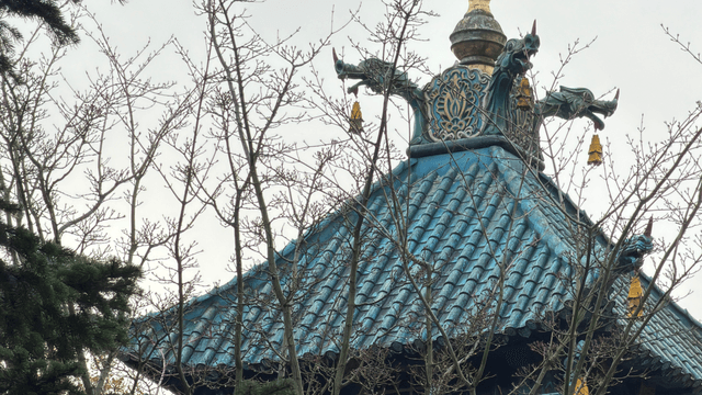 Chinese Nachtegaal in huidige vorm nog tot en met 8 maart te zien - Featured Image