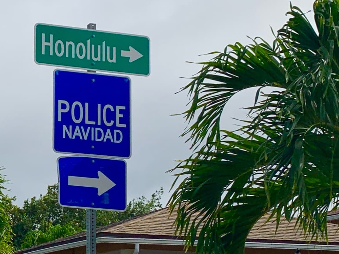 Not quite the season… - Image