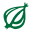 theonion.com - favicon