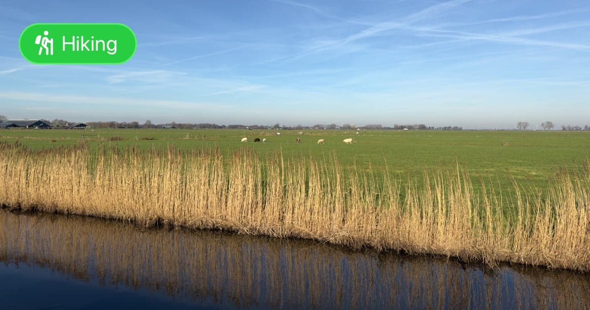 Utrecht Path part 08 - Peter's Path - Featured Image