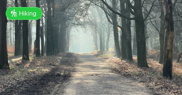 Utrecht Path part 09 - Peter's Path - Featured Image