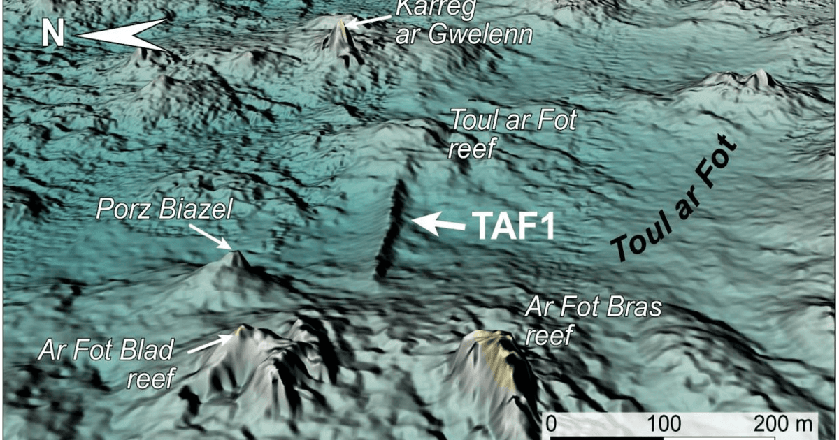 7,000-year-old underwater wall raises questions about ancient engineering — and lost-city legends - Big Think - Featured Image