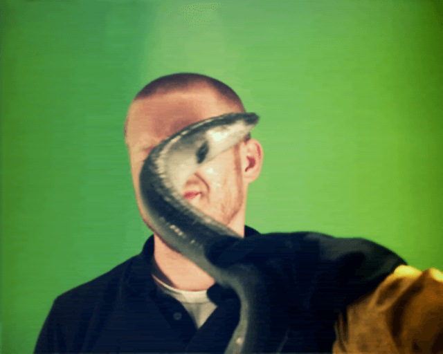 Eel slap! - Featured Image