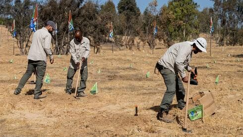 From Be’eri to Re’im: planting the future of Israel, one tree at a time - Featured Image