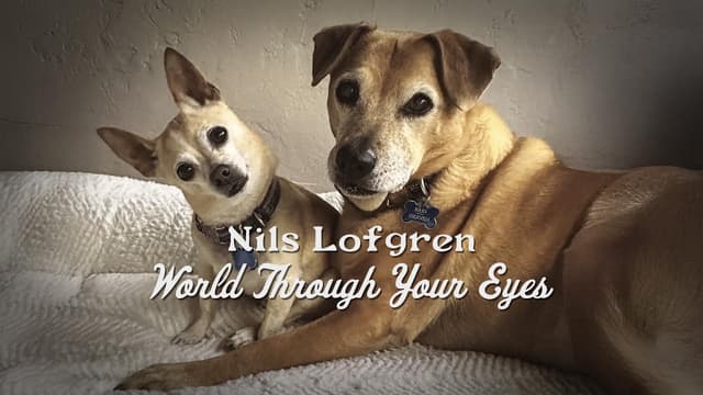 Nils Lofgren - World Through Your Eyes - Featured Image