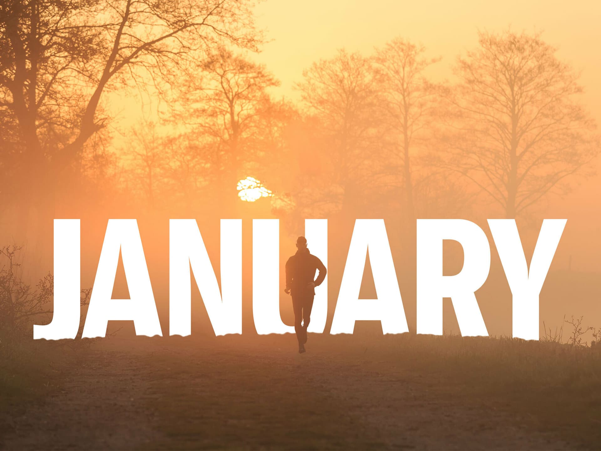 Things To Do in London January 2026: Brilliant London events to help beat the blues - Featured Image