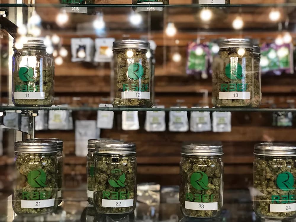 Michigan’s cannabis market hits first annual decline as market shows deeper problems - Detroit Metro Times - Featured Image