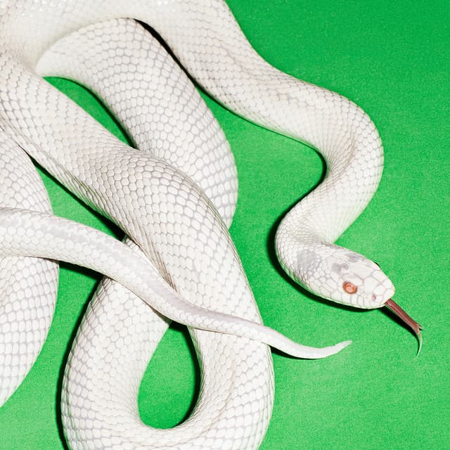 my mind is a mountain - Featured Image