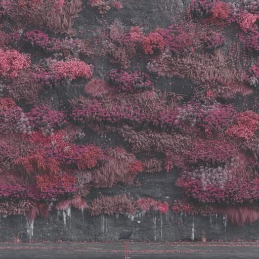 Today's Tunes - Featured Image