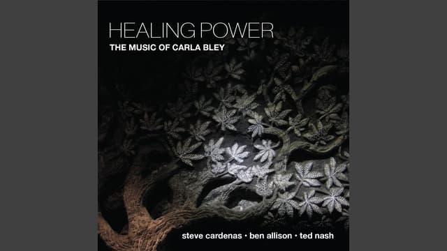 Lawns - Featured Image