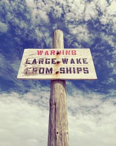 Sapelo Sounds - Featured Image