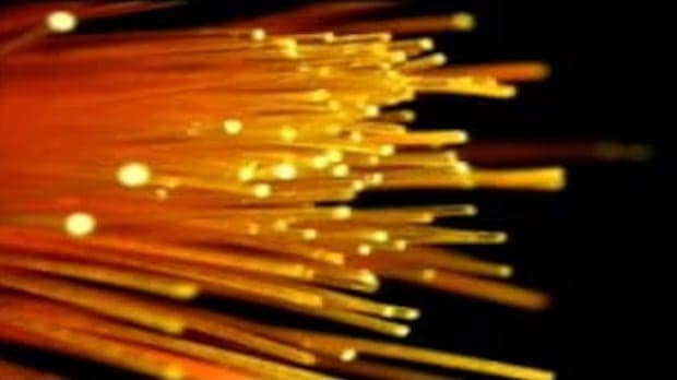 Saint John touted as 'hidden gem' for artificial intelligence  | CBC News - Featured Image