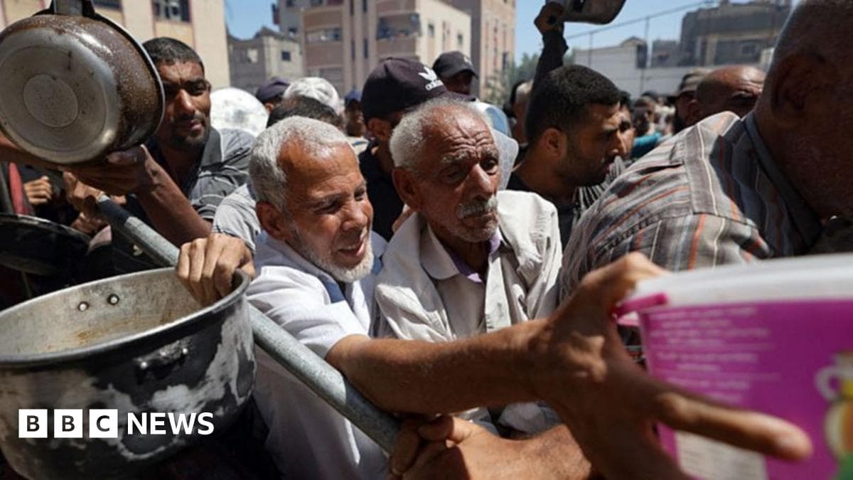 UK and 24 nations accuse Israel of 'drip feeding' aid to Gaza civilians as they condemn 'horrifying' killings - Featured Image