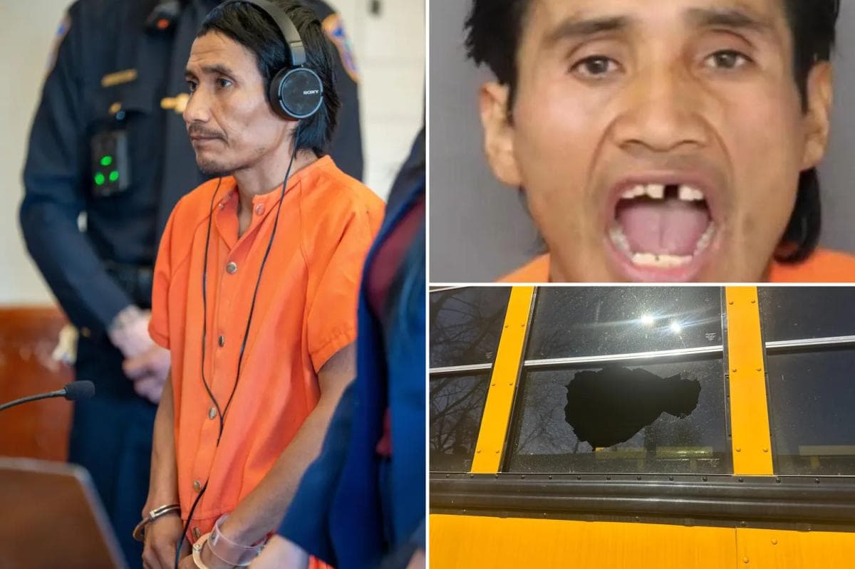 ‘Monster’ rock-thrower who fractured skull of 8-year-old girl on school bus is an illegal migrant from Mexico: DHS - Featured Image