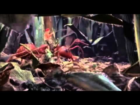 Smash TV - Skinemax (Full Movie) - Featured Image