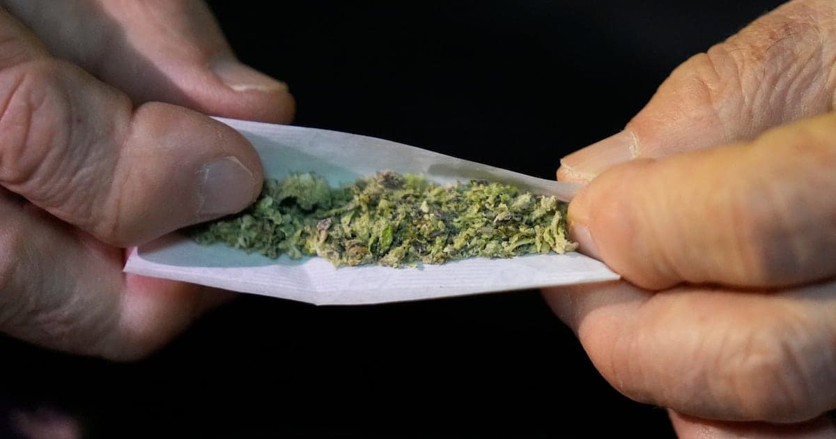 N.S. government says even more cannabis dispensaries than originally estimated - Featured Image