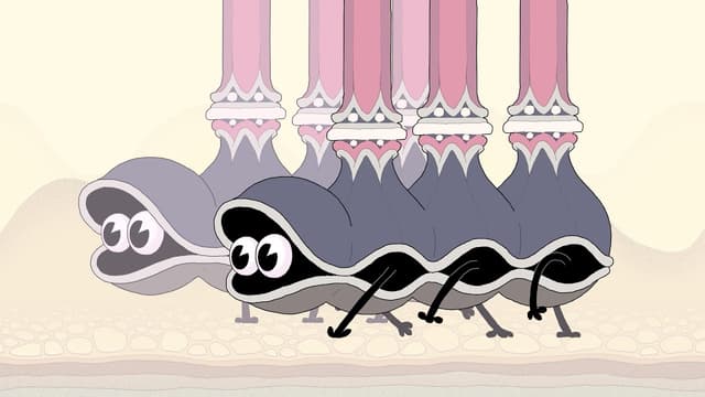 DOUBLE KING - Featured Image