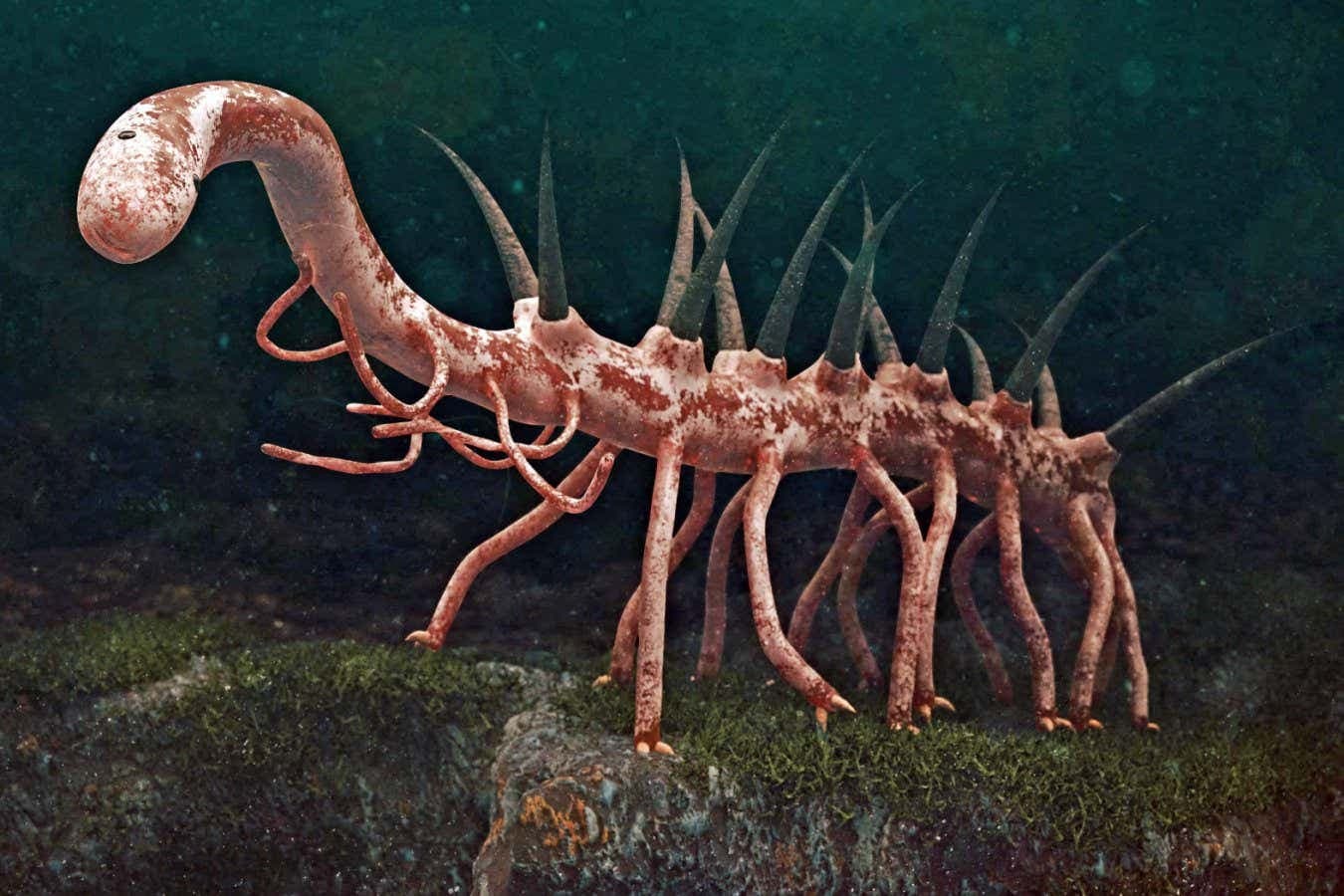 Fossil may solve mystery of what one of the weirdest ever animals ate | New Scientist - Featured Image