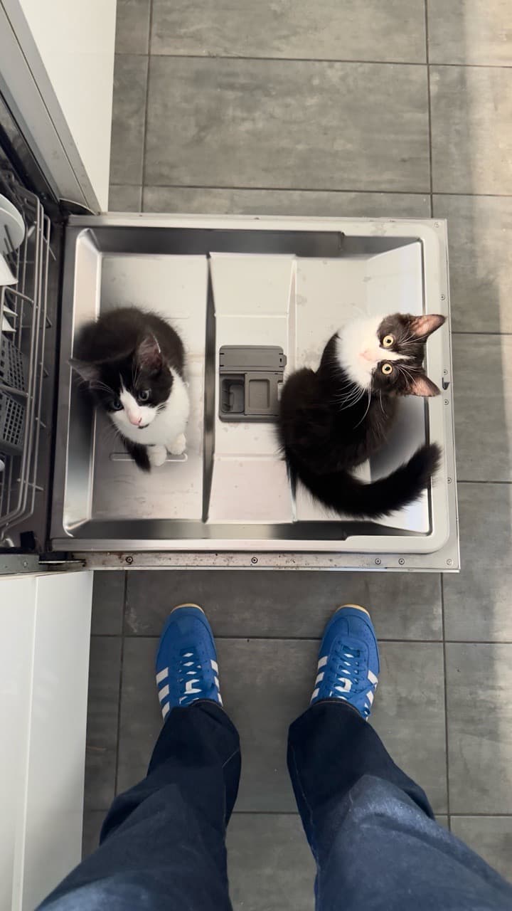 Test post please ignore - Image