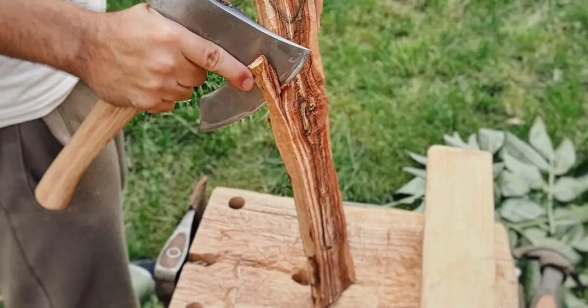 I'll quit my job and buy a farm — Alin Panaitiu - Featured Image