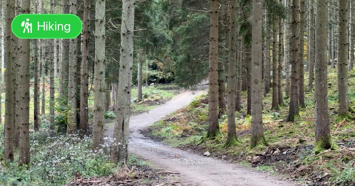 Maboge Ourthe Valley Loop - Featured Image