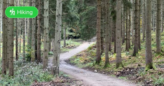 Maboge Ourthe Valley Loop - Featured Image