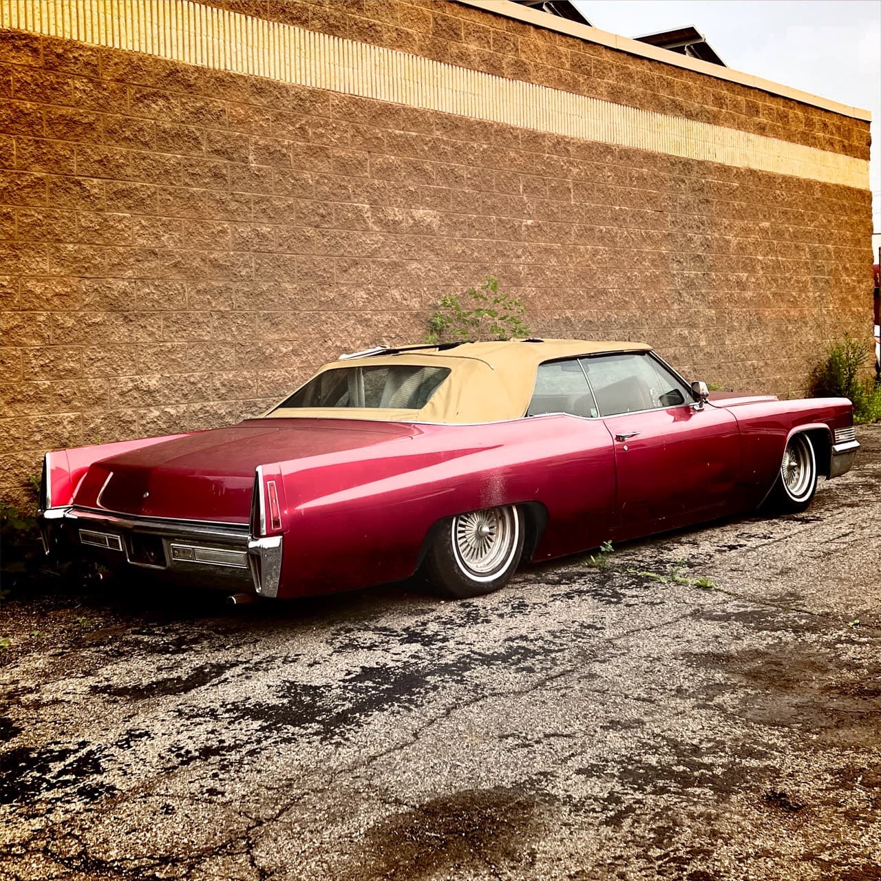 1970 Caddy - Image
