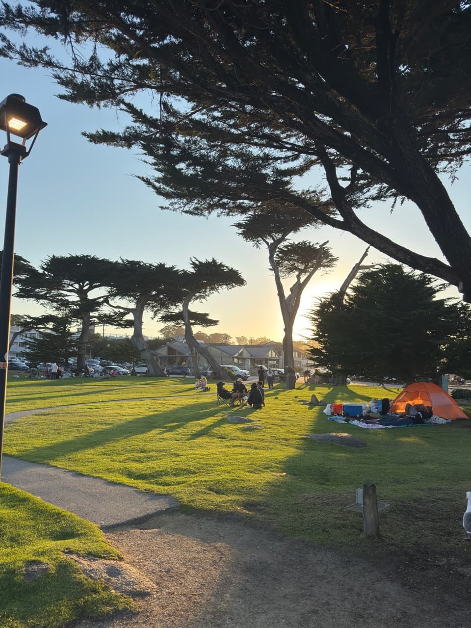 I adore the way sunlight kisses the earth. - Image