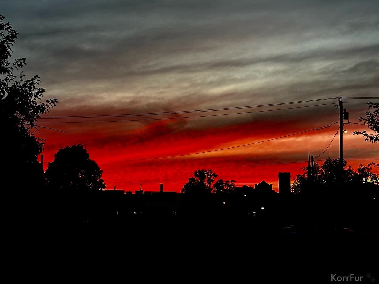 iPhone 14 Pro Max main camera
ISO 125, 62mm, f1.78, 1/60s
Edited with the iOS Photos app