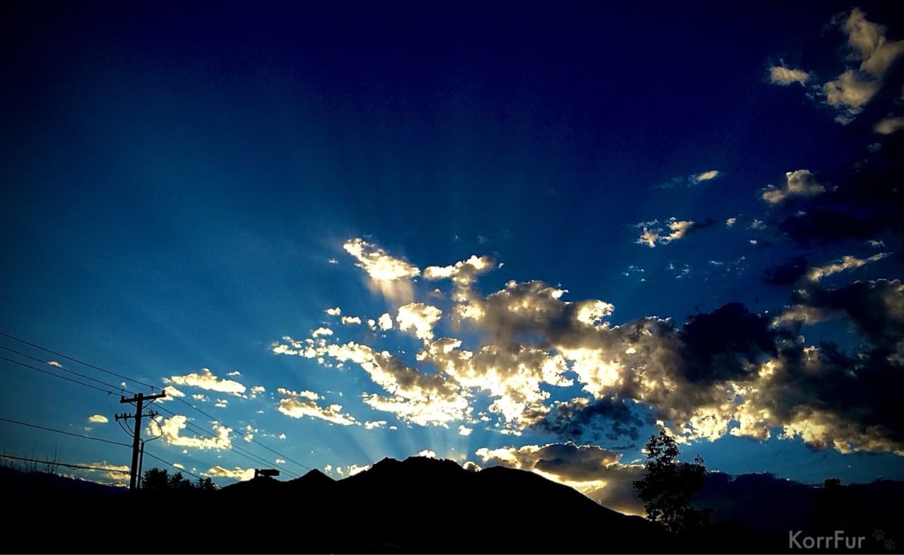 iPhone 5s rear camera
ISO 40, 30mm, f2.2, 1/2740 s
Edited in the iOS Photos app