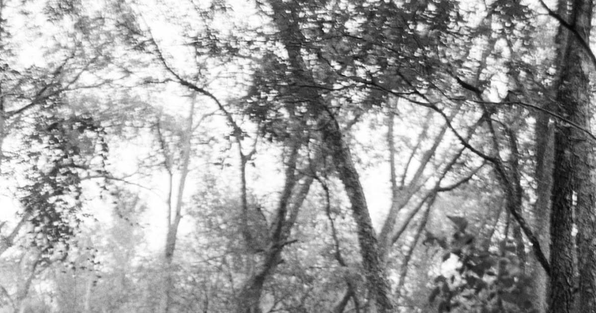 Picture Of The Day 1-7-26 - Featured Image